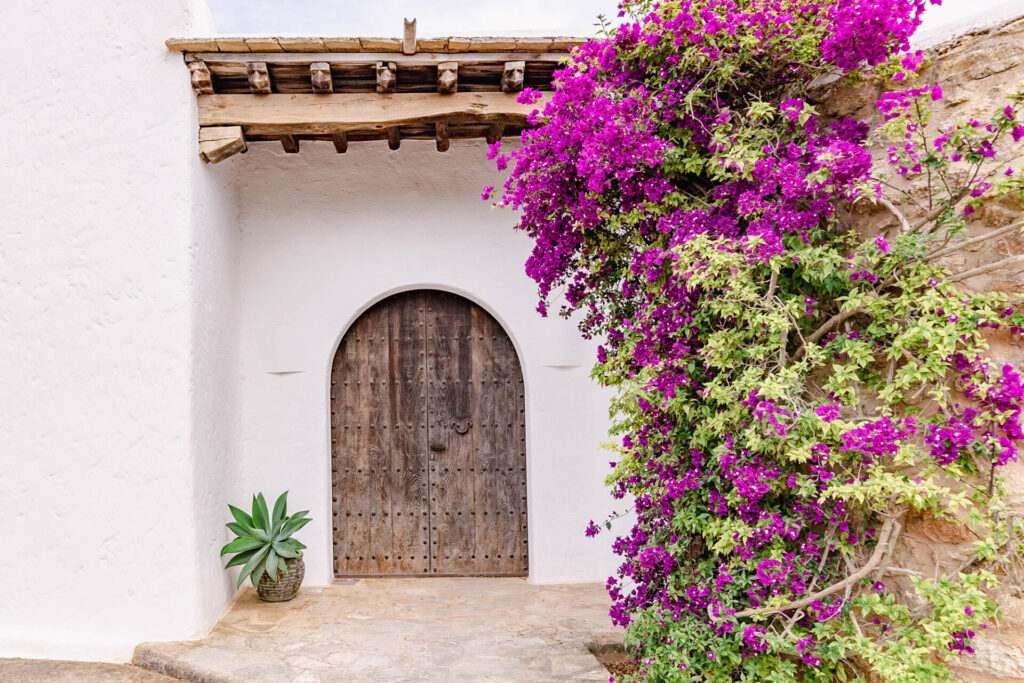 Whitewashed Ibiza finca entrance near Santa Gertrudis with an arched rustic wooden door and magenta bougainvillea
