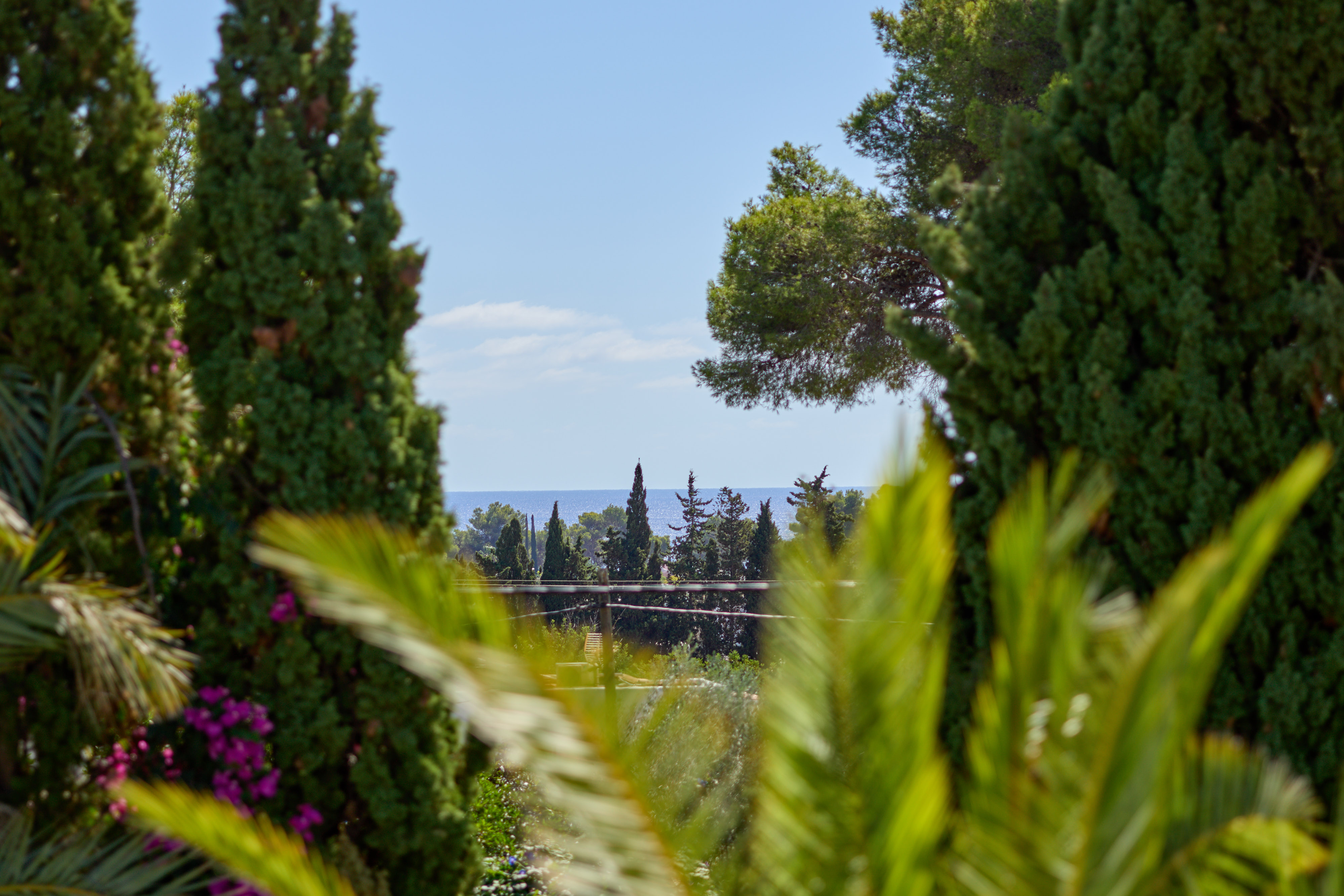 Villa Arco — photograph 4