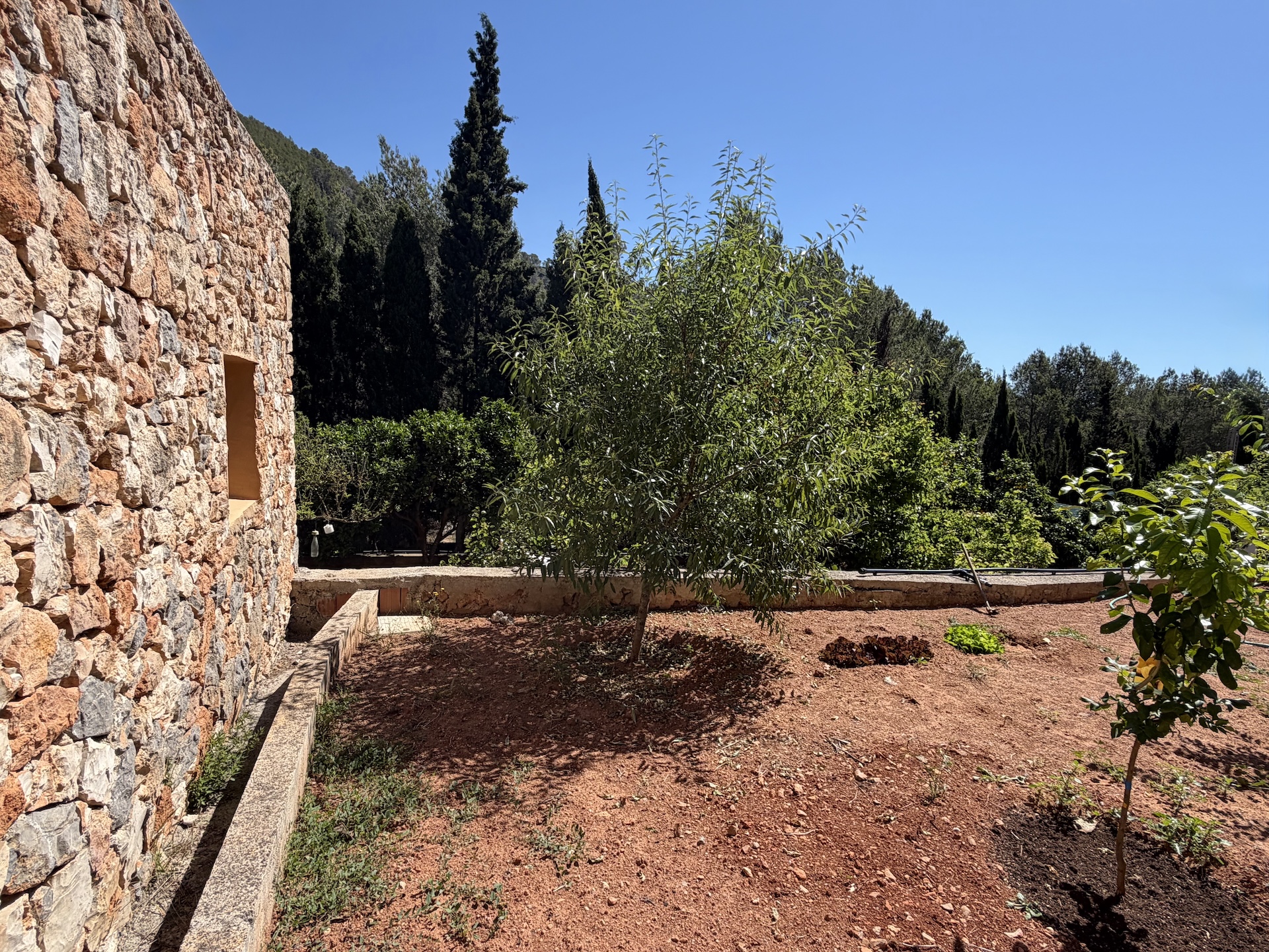 Granada — photograph 4