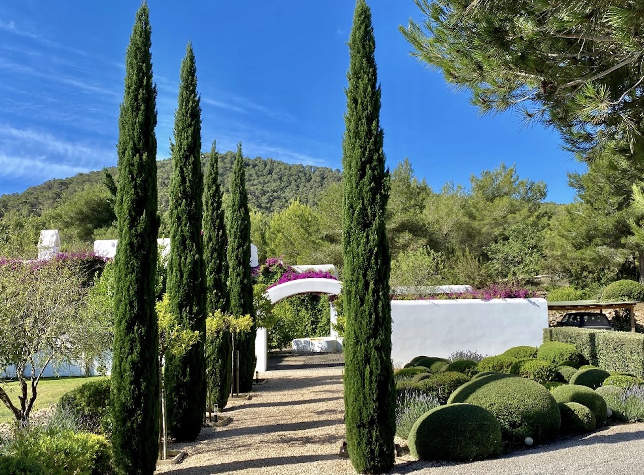 Finca Gloria — photograph 3