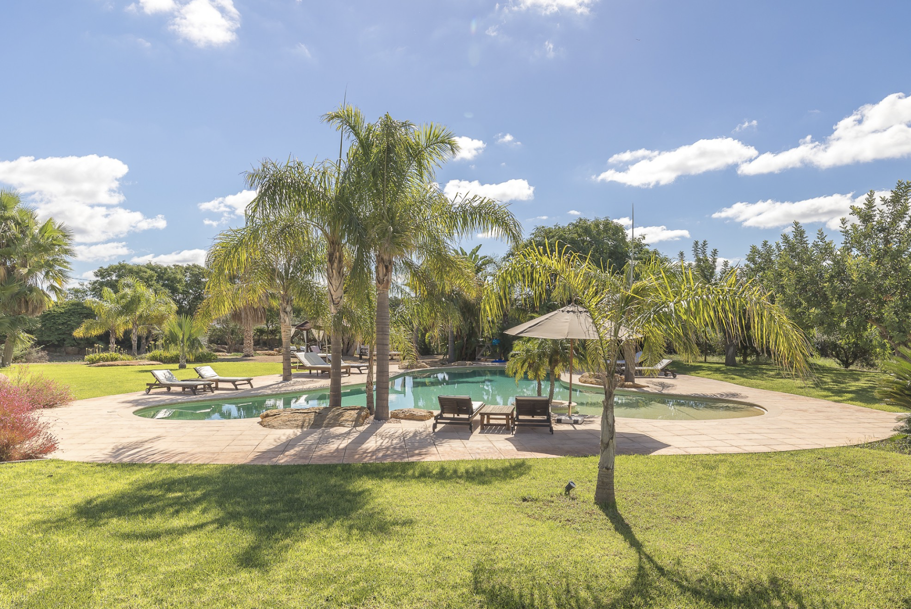 Finca Carmela — photograph 2