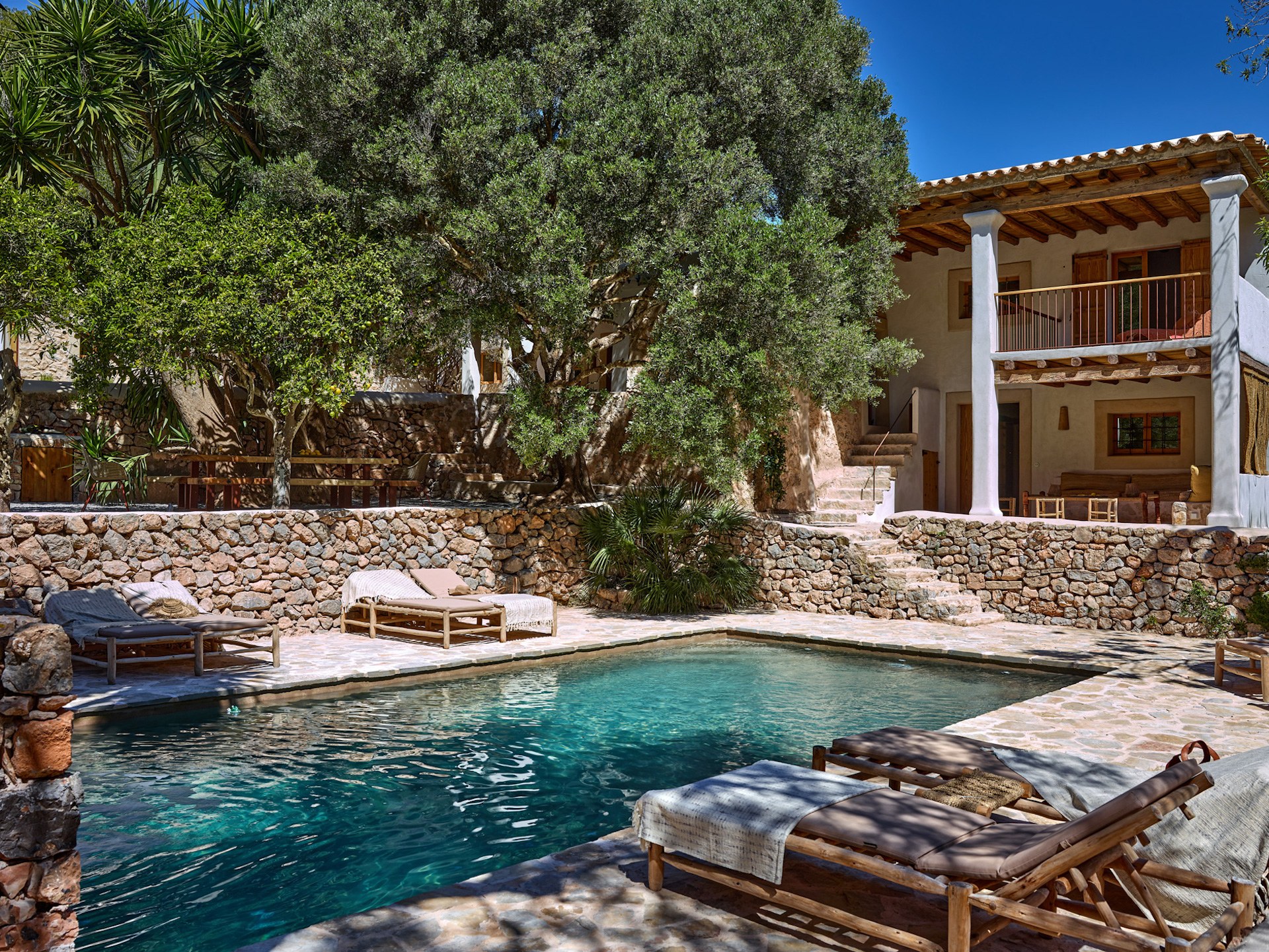 Finca Terra — photograph 2
